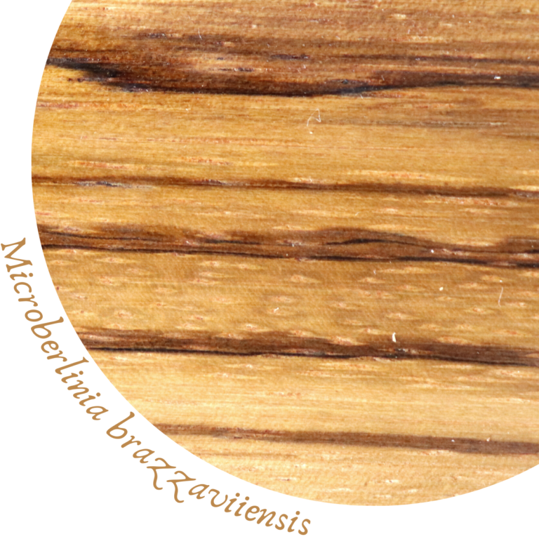 Zebrawood