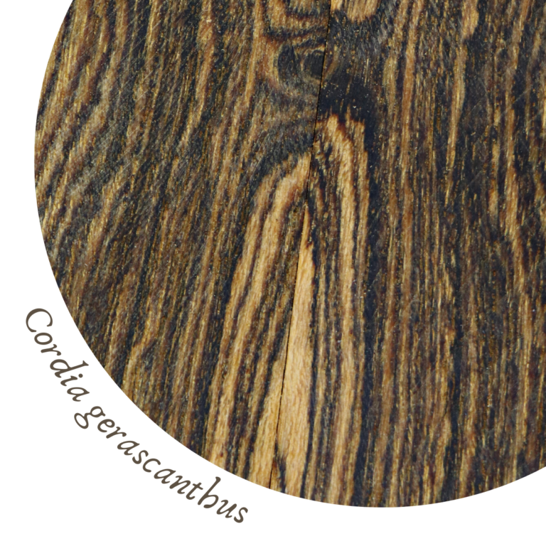 Bocote