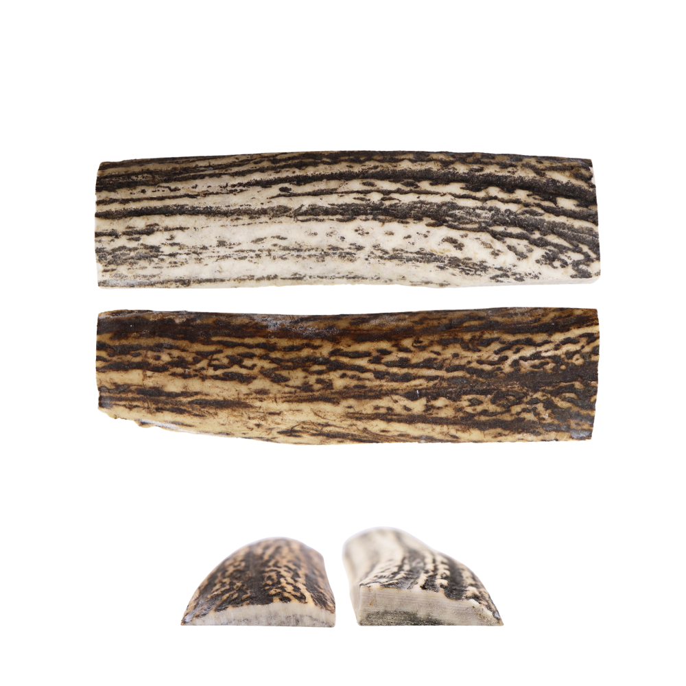 Archives des Bois de cerf Cervidé Muzard SARL