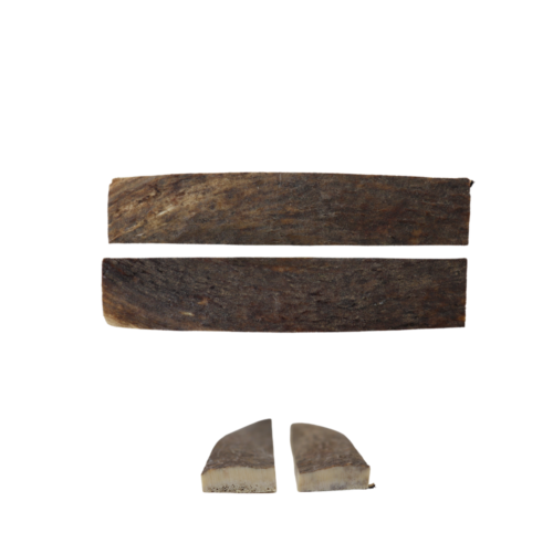 Archives des Bois de cerf Cervidé Muzard SARL