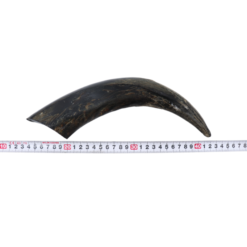 Bâton à Cheveux En Corne De Buffle - Fait Main, Neuf, Accessoire Coiffure Naturel