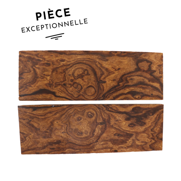 Loupe En Bois De Charme (hornbeam) – Pièce Unique En Bois Exotique 23x11x3cm