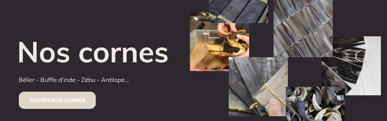 cornes