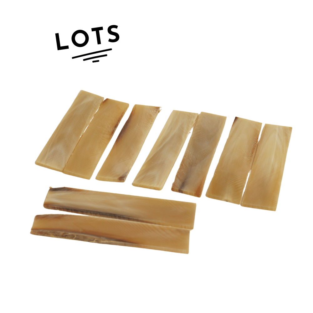 Zebu horn tip scales