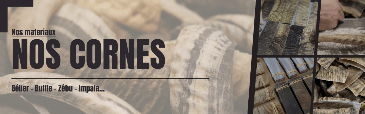 corne buffle zébu horn
