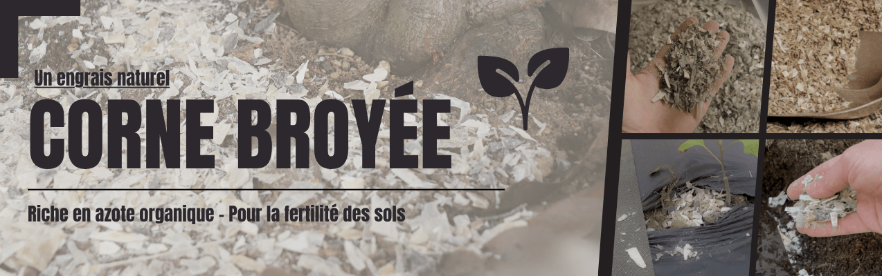 engrais naturel, corne broyée, plantation, terre, sol fertile