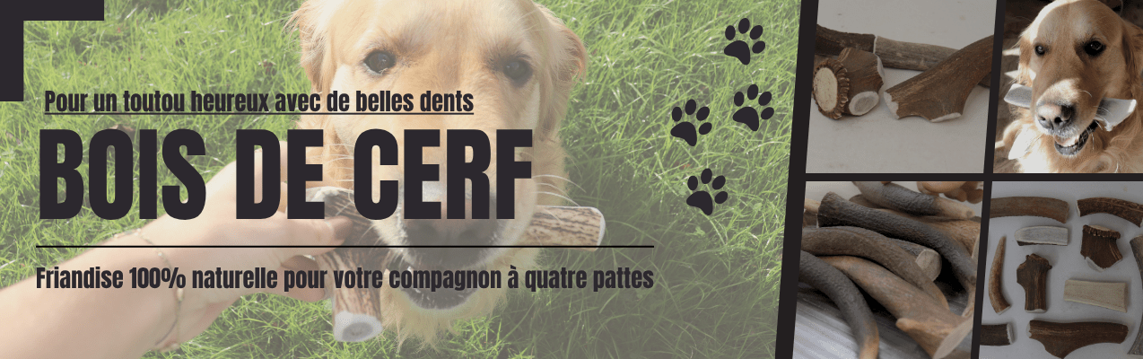 matiere naturelle bois de cerf, friandise, chien, hygiène