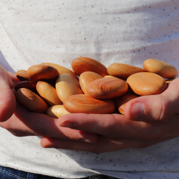 Cadalithe Anti-mites